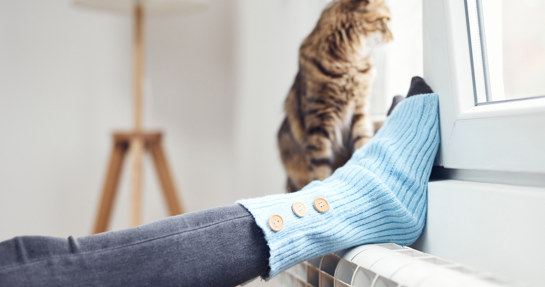 A person wearing blue socks with buttons relaxes by a window with a brown cat looking outside.